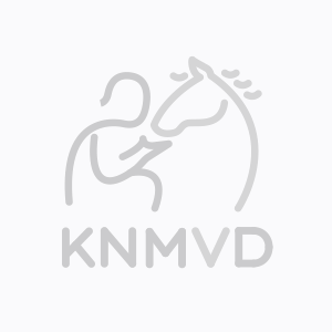 Tamara van Stralendorff